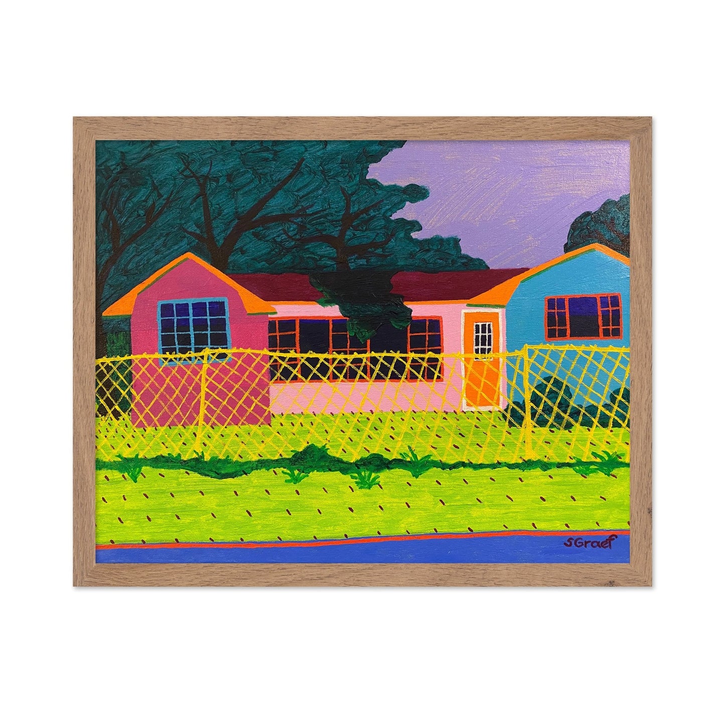 Colorful Fence House