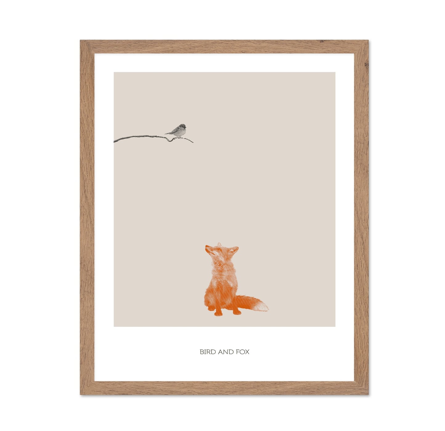 Fox Watching Bird