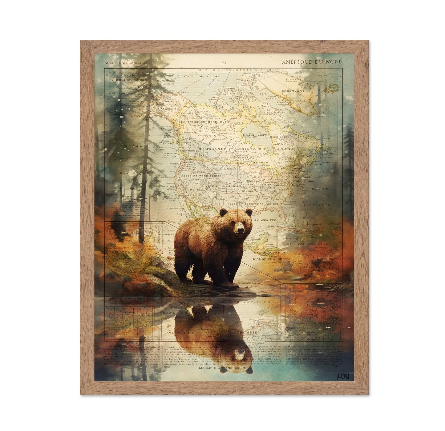 Forest Bear Map