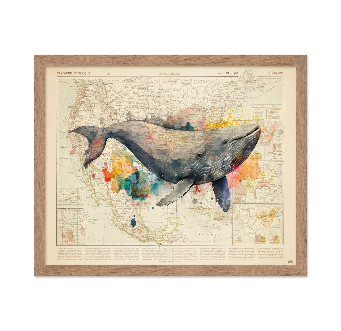 North America Whale Map