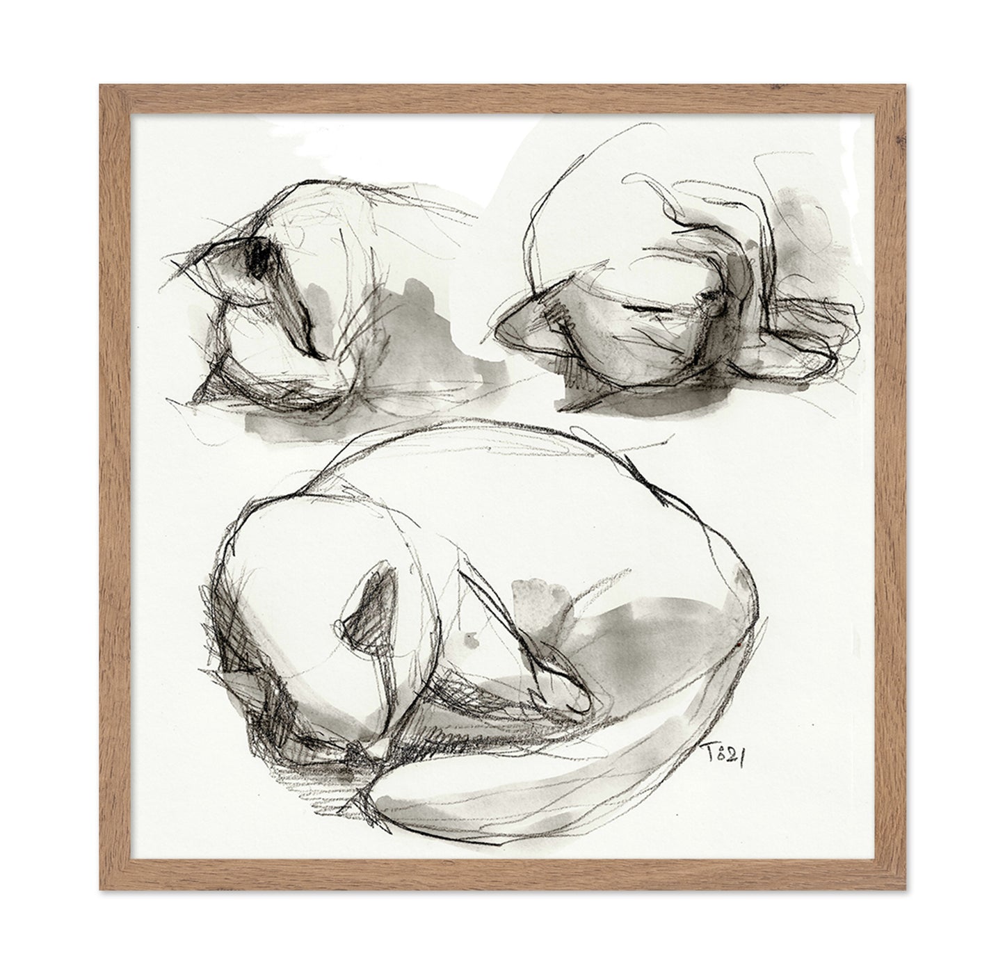 Seated Figure Studies