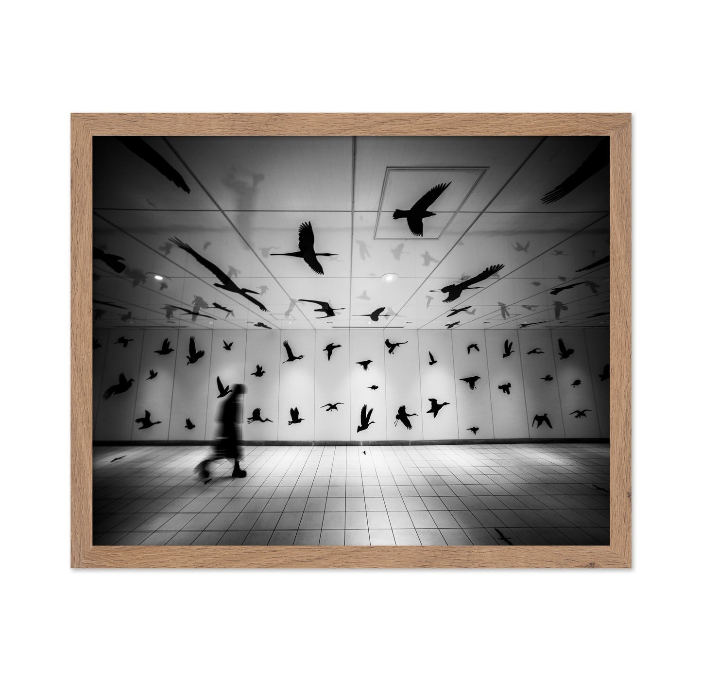 Flying Shadows Hall