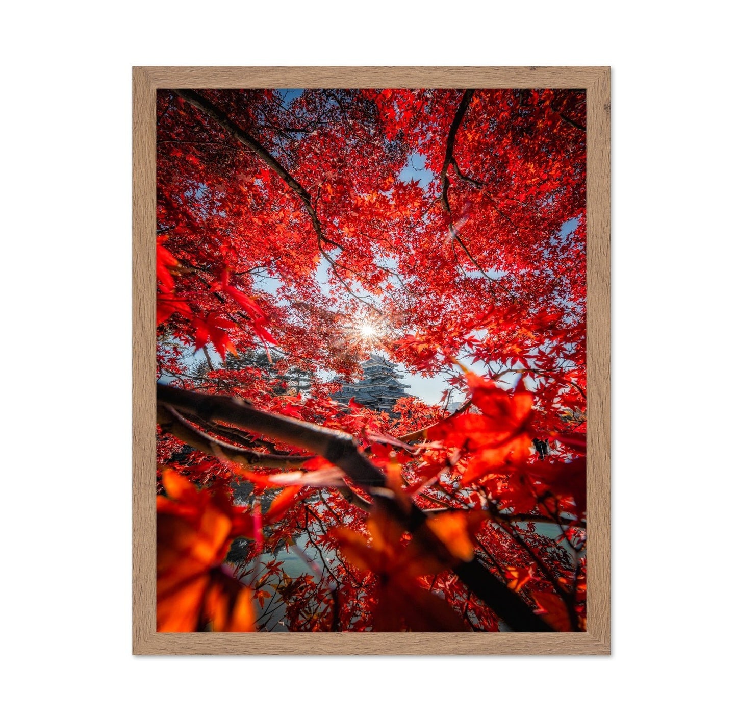 Red Maple Castle View