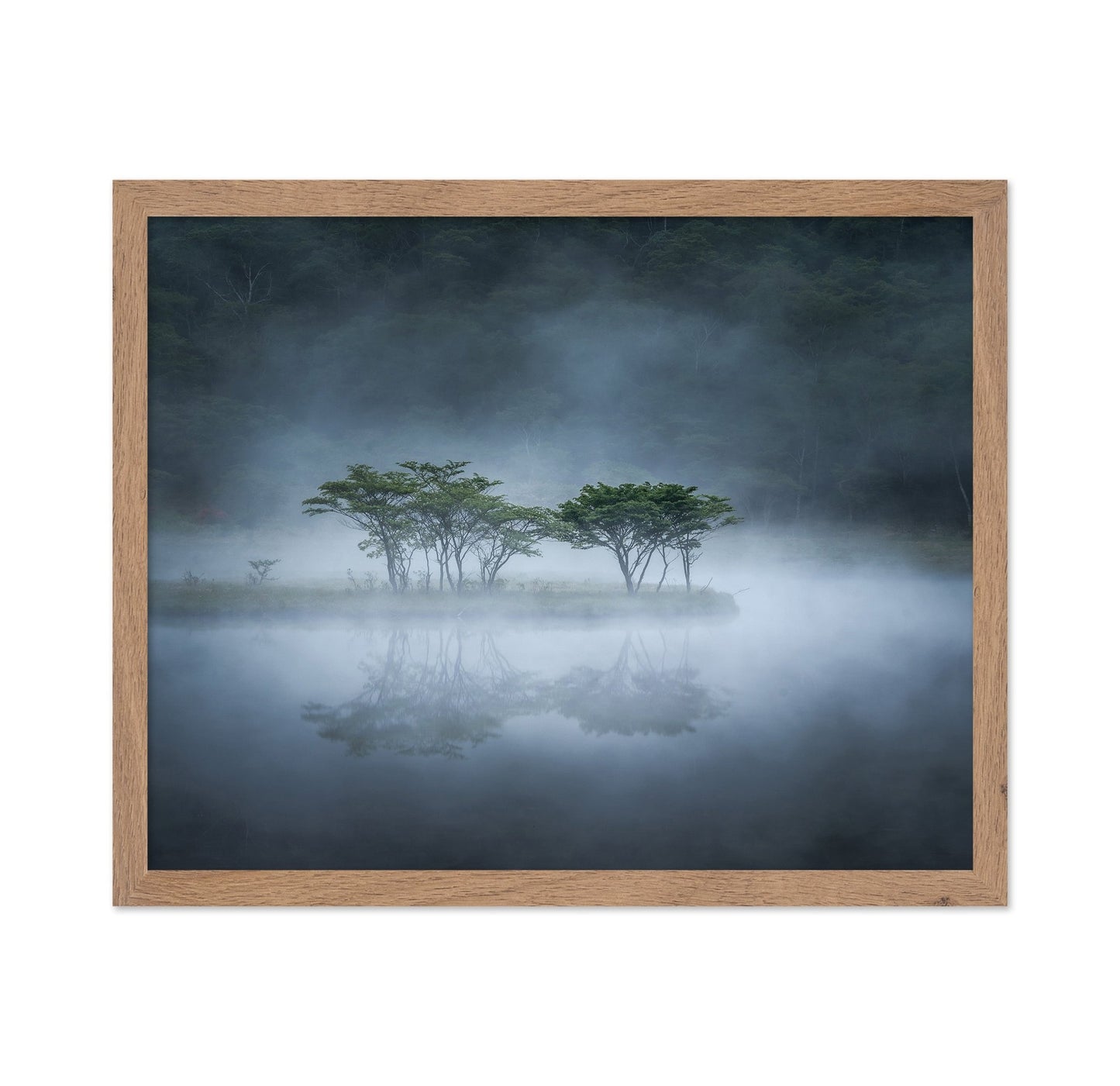 Misty Lake Trees