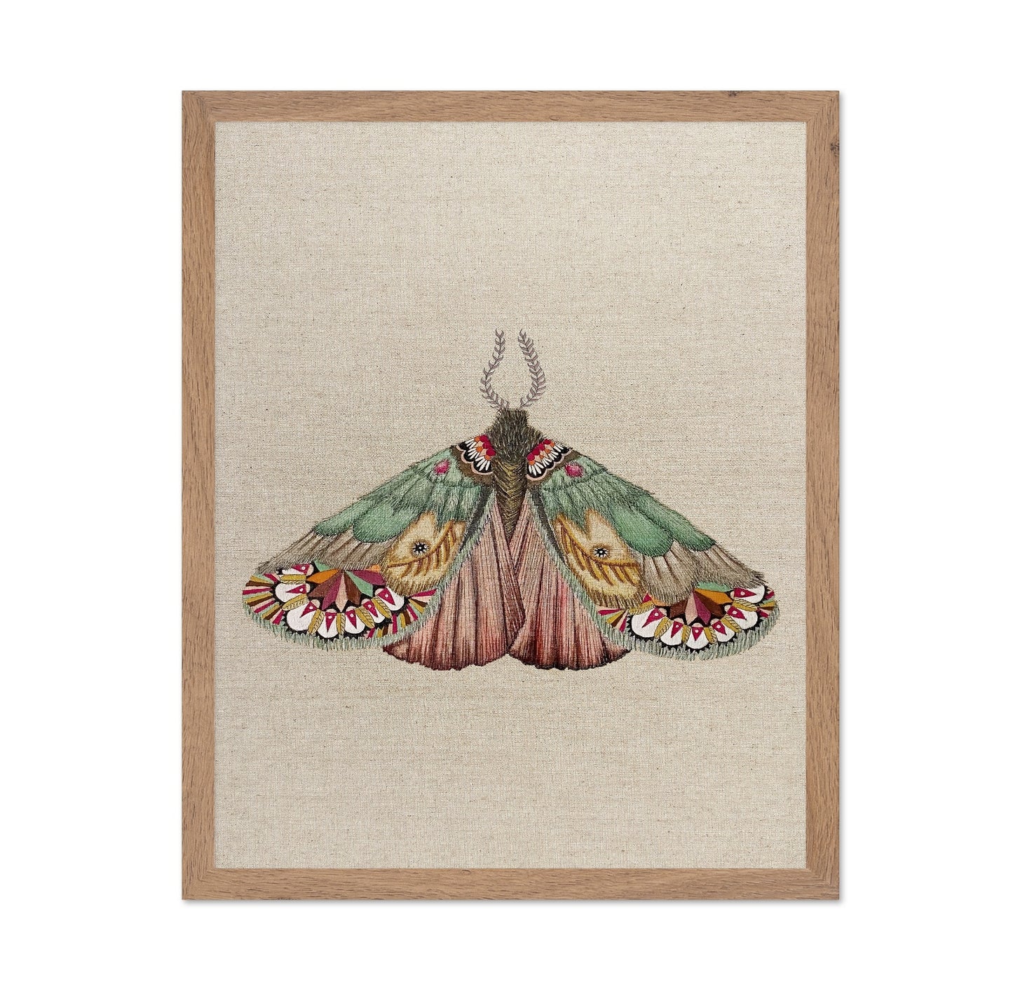 Patchwork Wing Moth