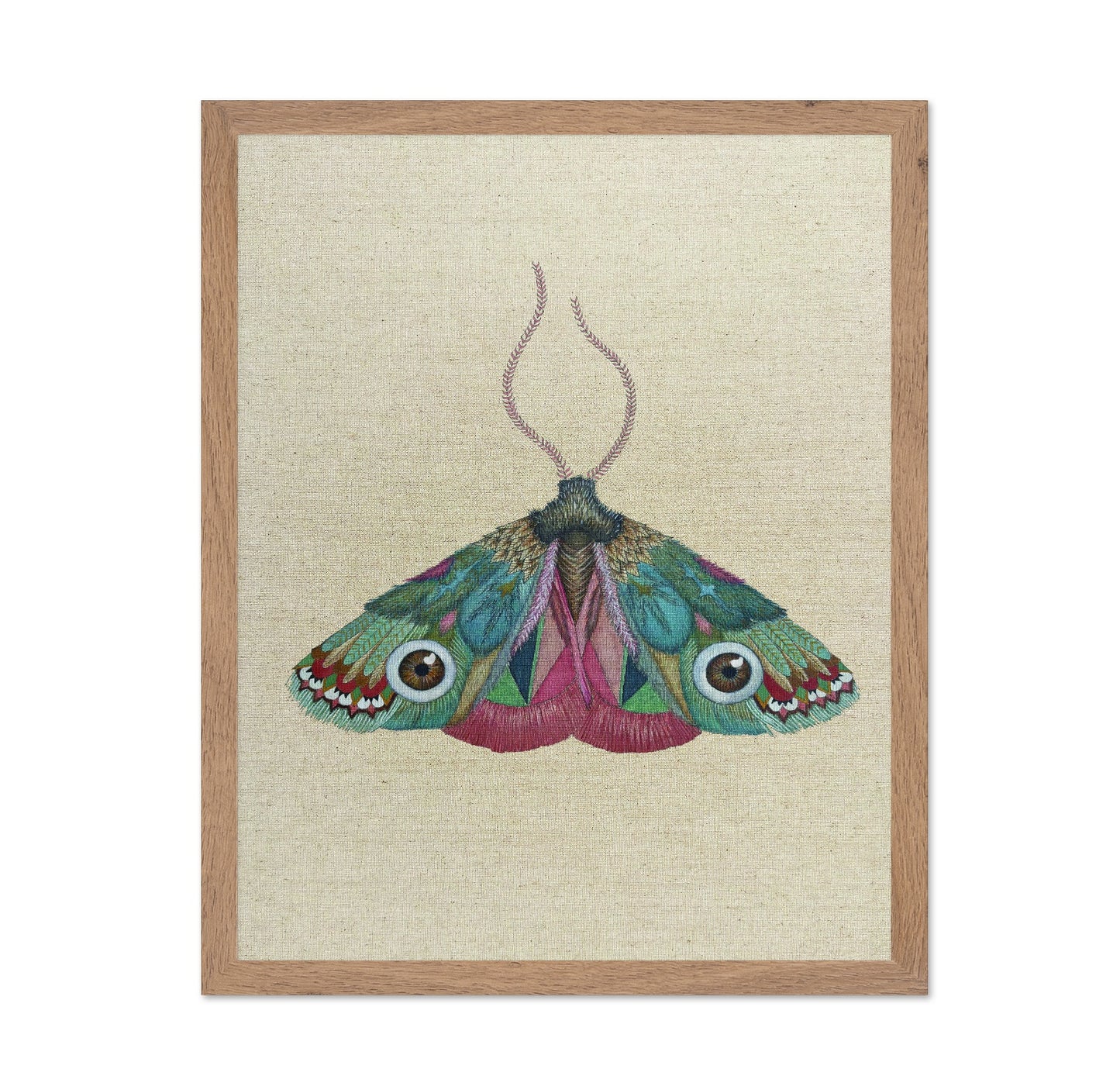 Jewel Eye Moth