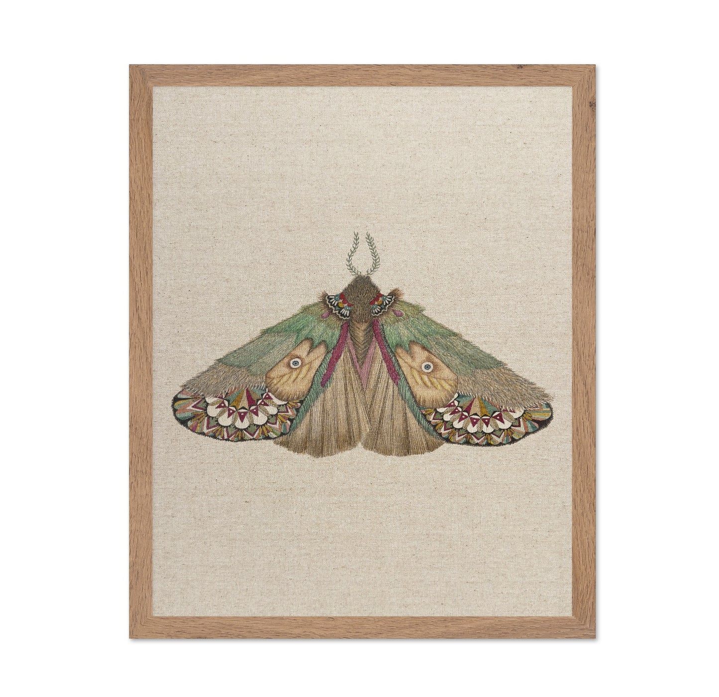 Twin Face Moth