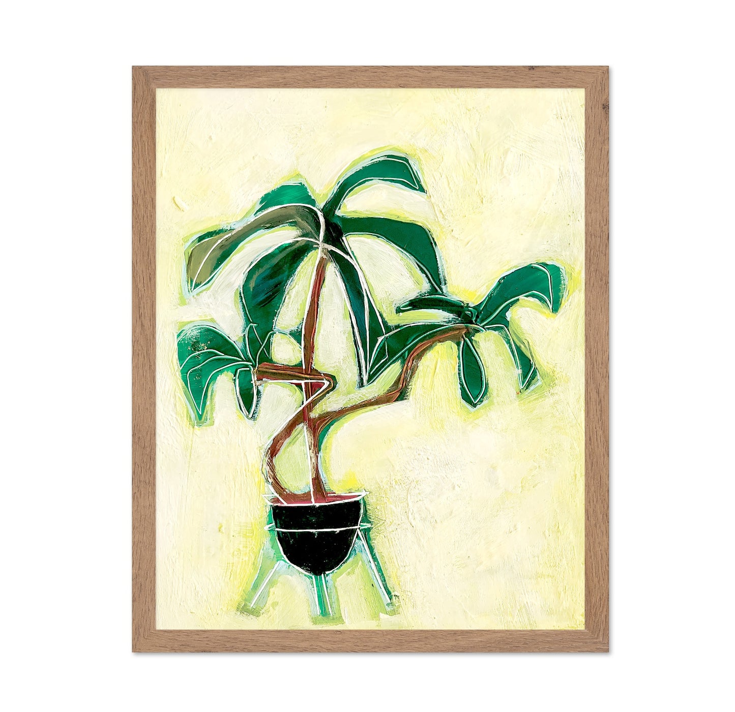 Modern Plant Study