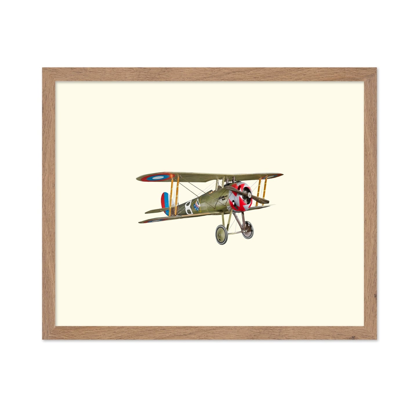 Vintage Biplane Aircraft