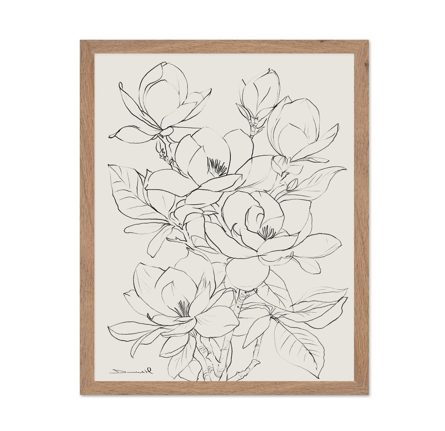 Magnolia Line Bloom