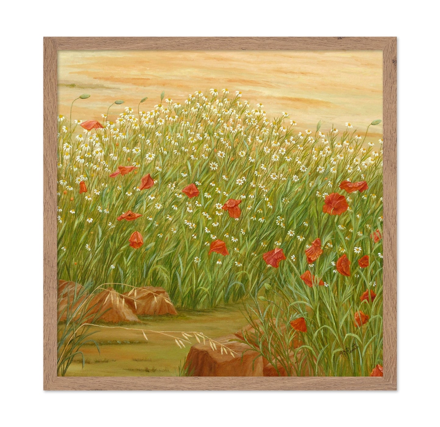 Daisy Poppy Meadow
