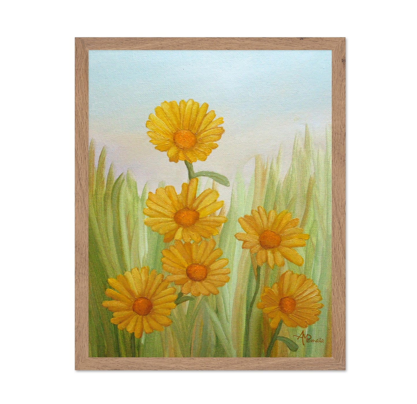 Yellow Daisy Meadow