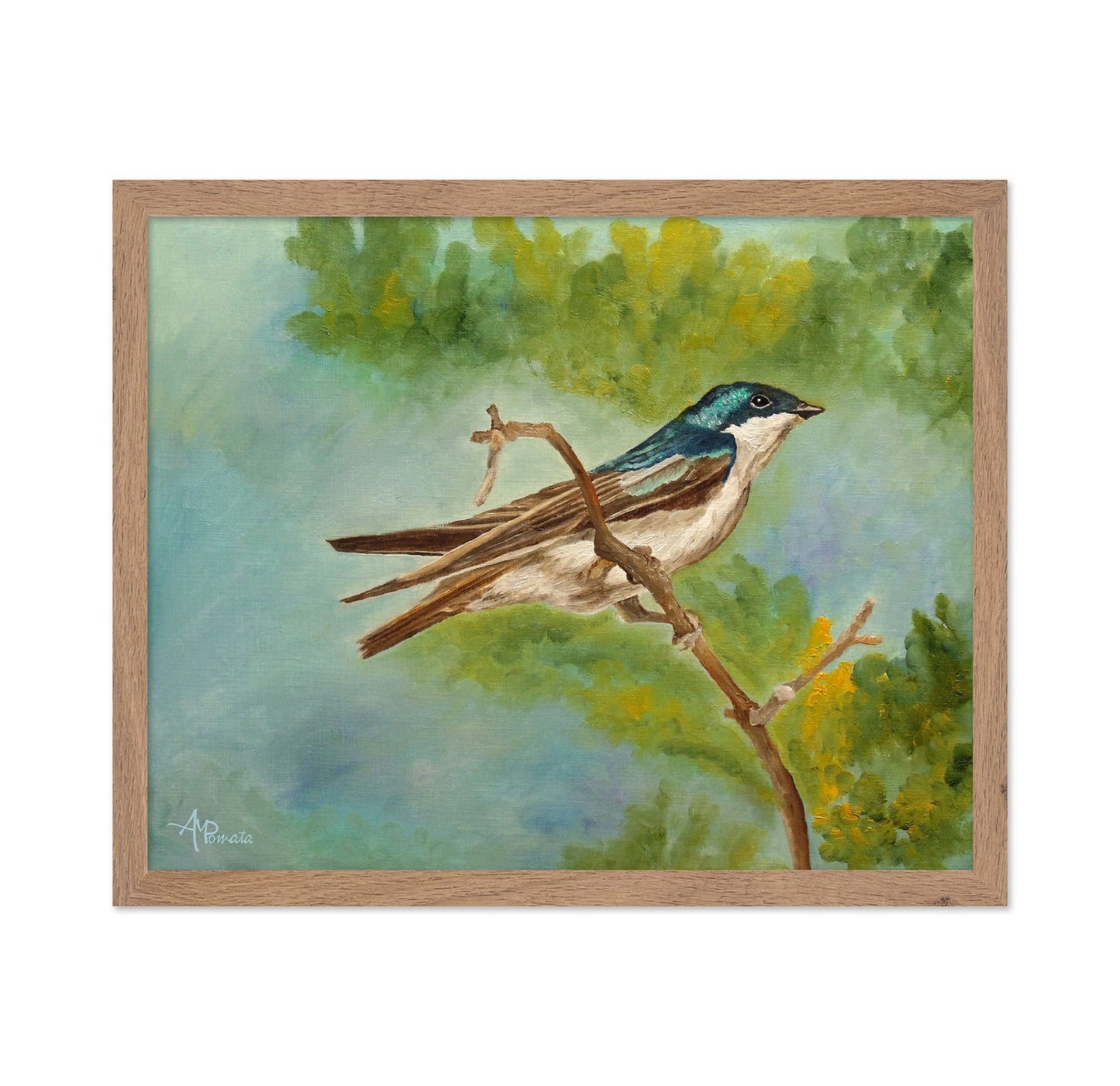 Blue Swallow Perched Branch