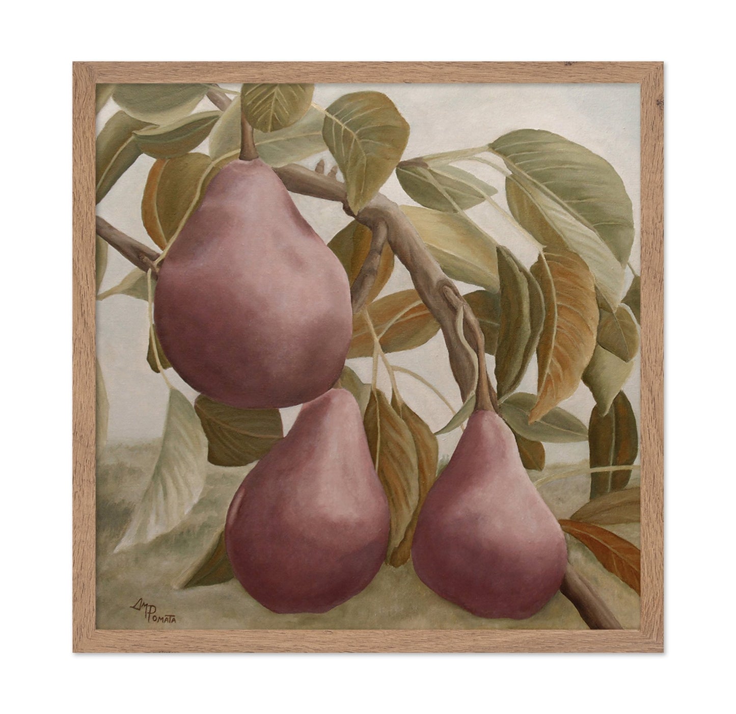 Pears On Branch Still Life
