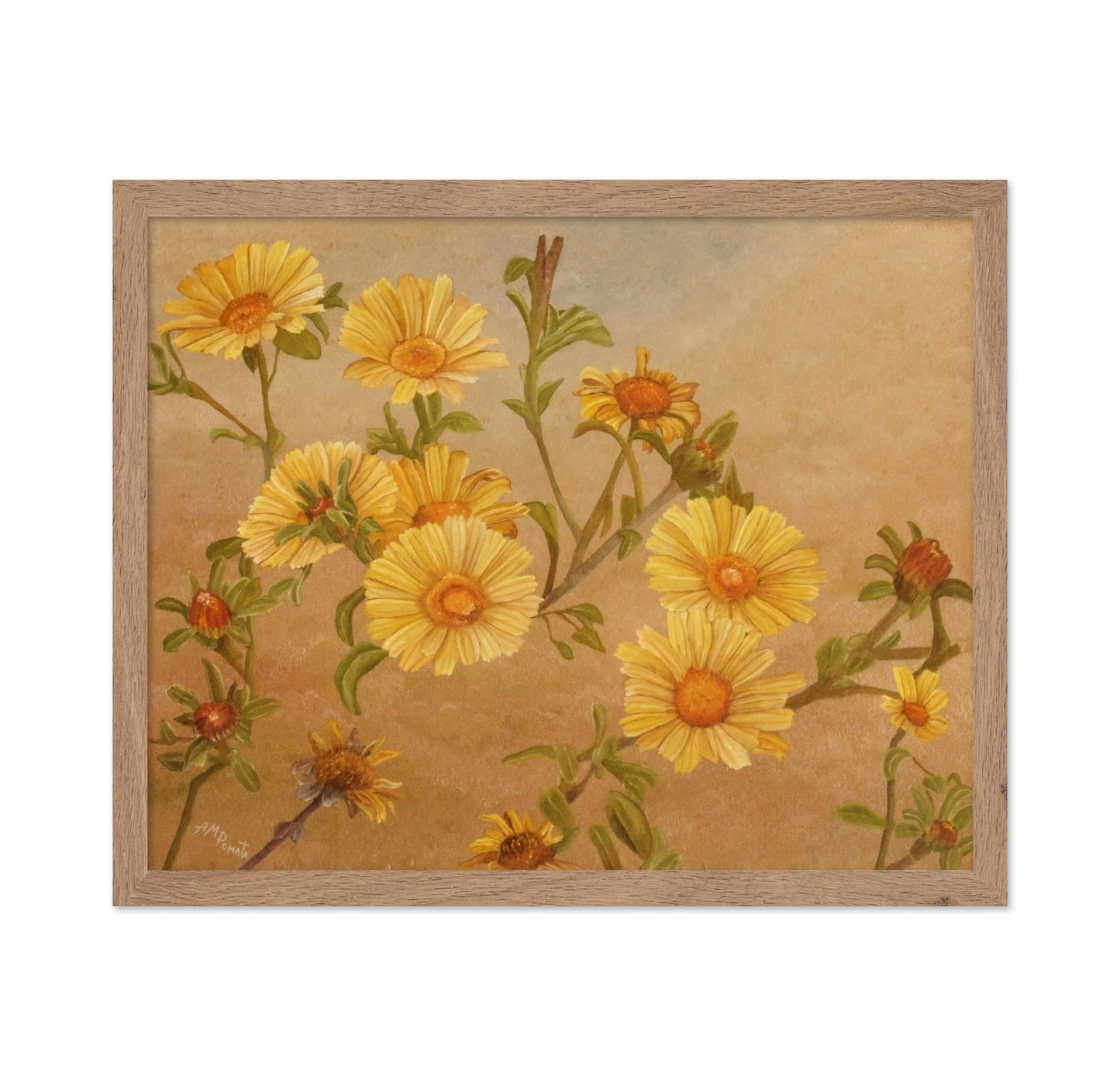 Yellow Daisy Bloom