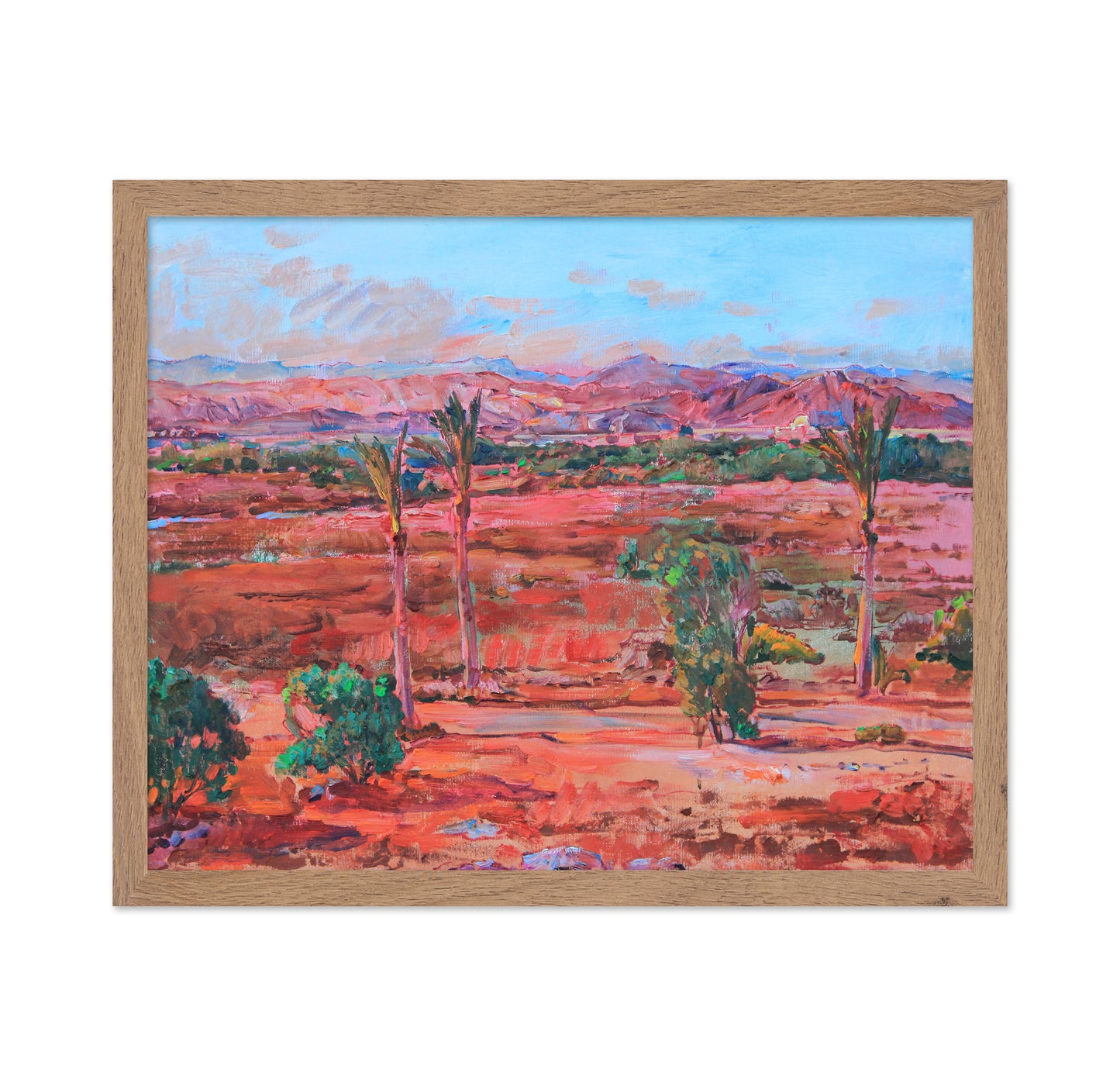 Desert Palm Vista