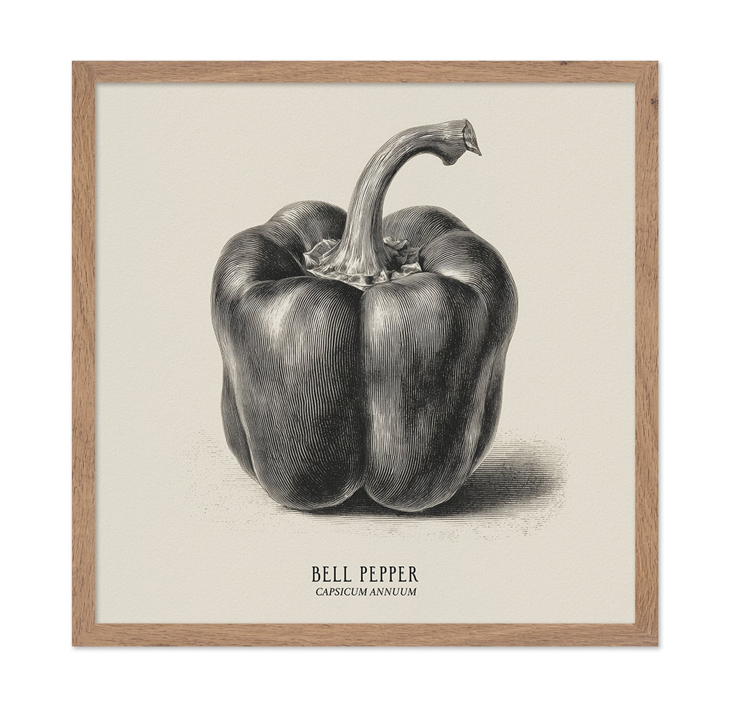 Vintage Bell Pepper