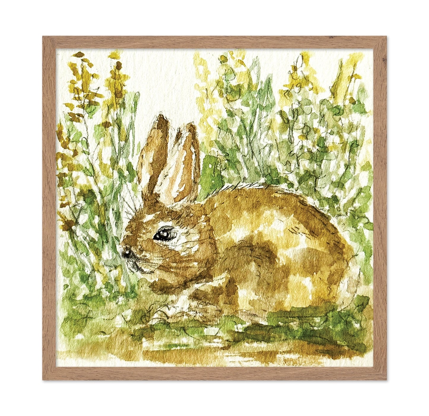 Woodland Bunny Study