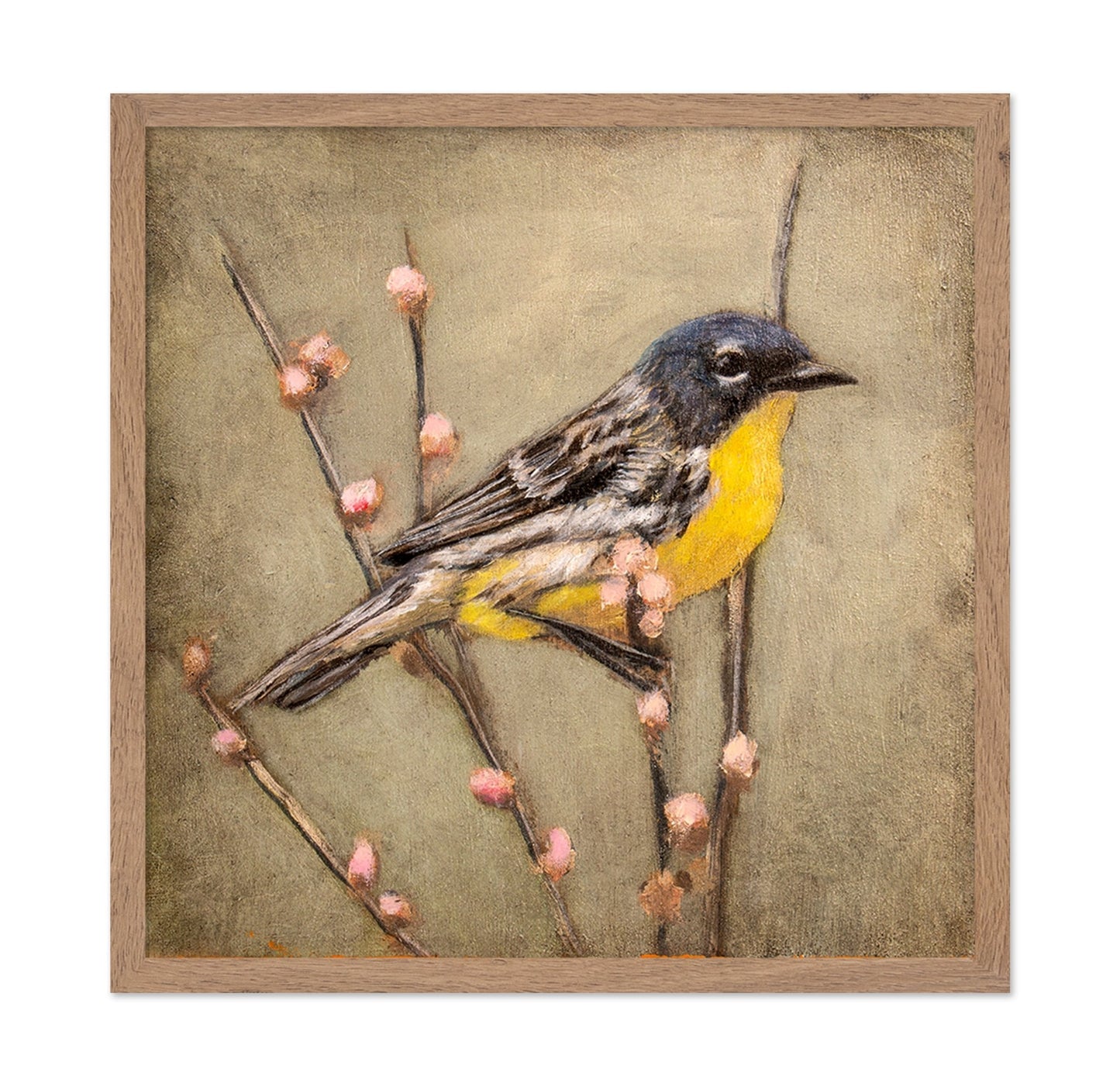 Golden Throat Sparrow