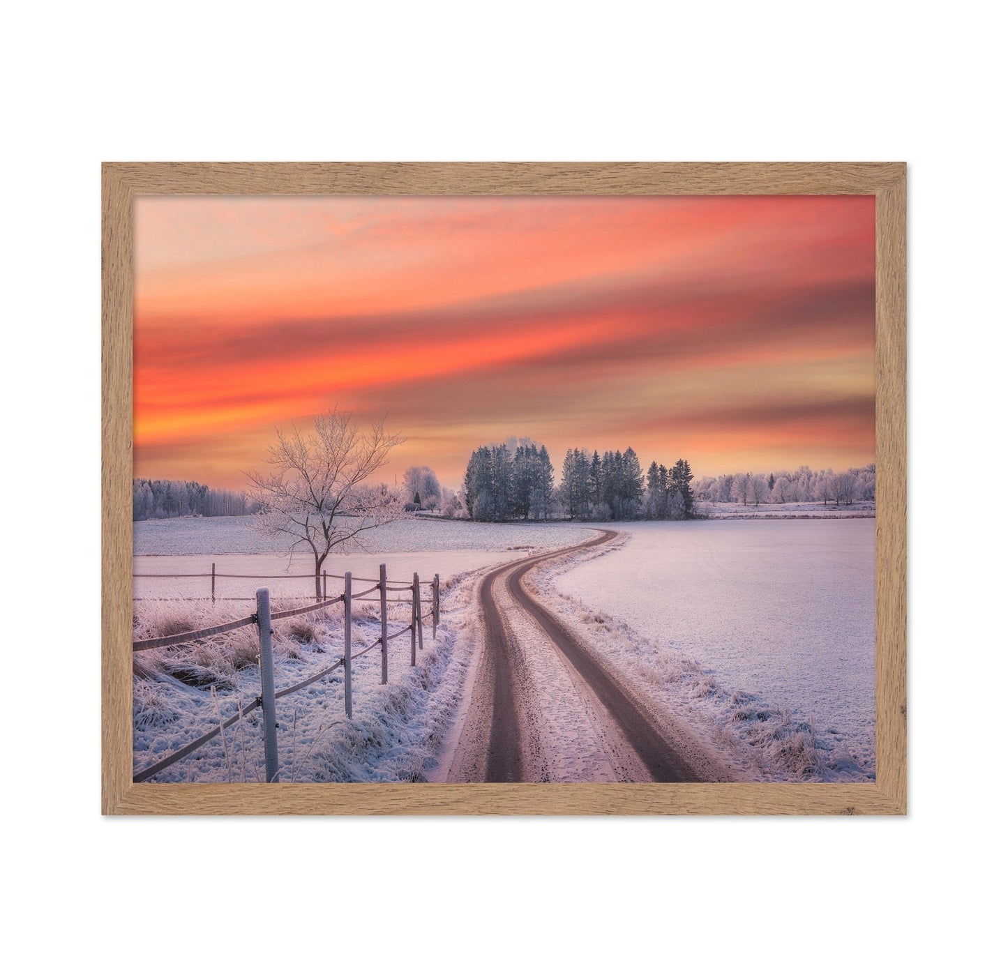 Winter Sunset Path