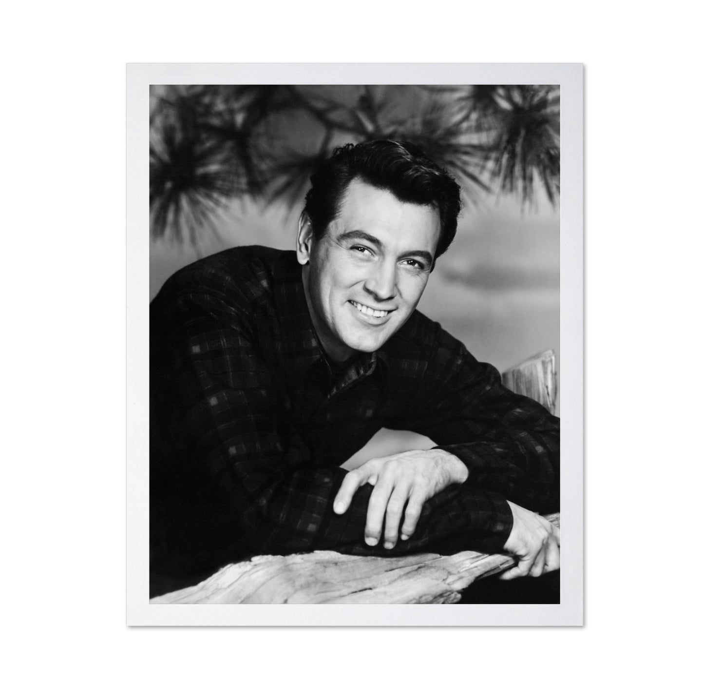 All That Heaven Allows 1955 Rock Hudson No2