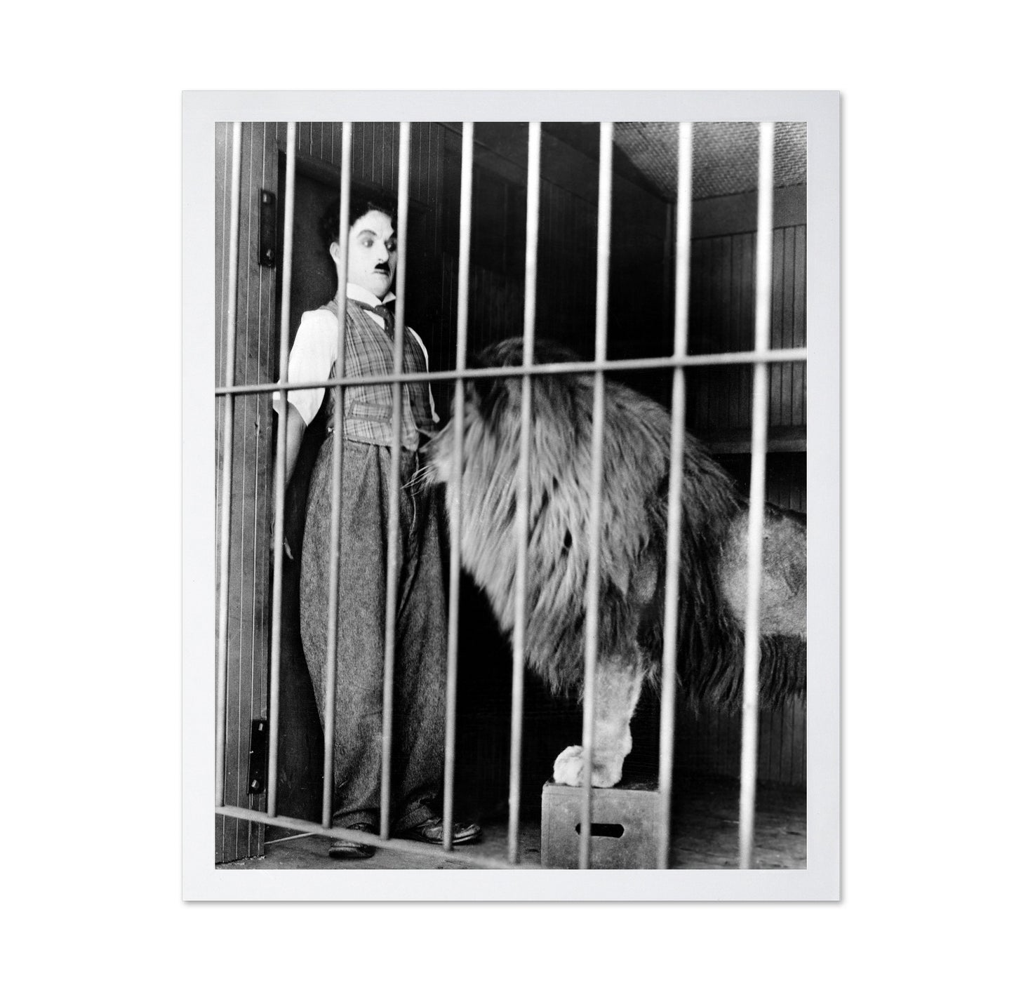 The Circus 1928 Charlie Chaplin