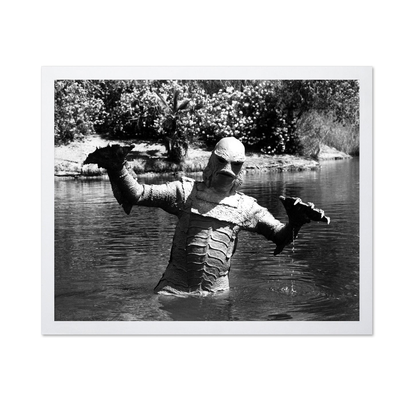 Creature From The Black Lagoon 1954 No2