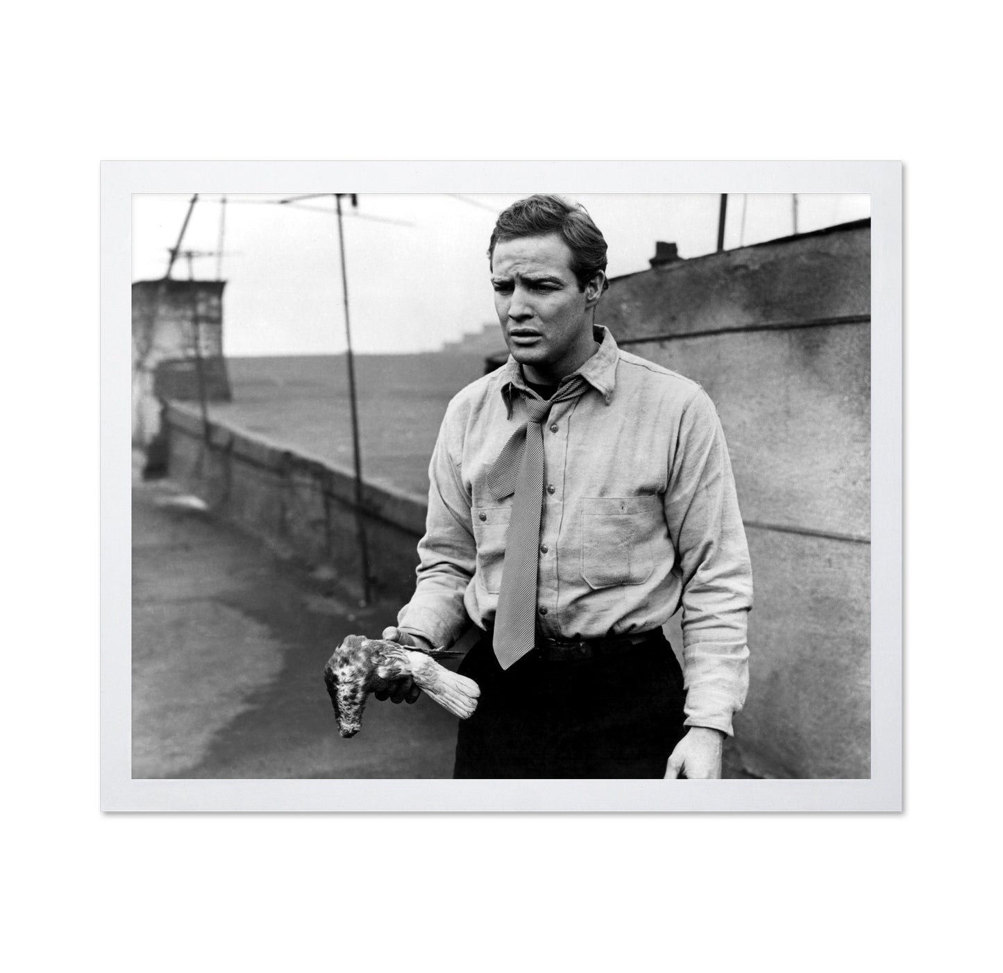 On the Waterfront 1954 Marlon Brando No3