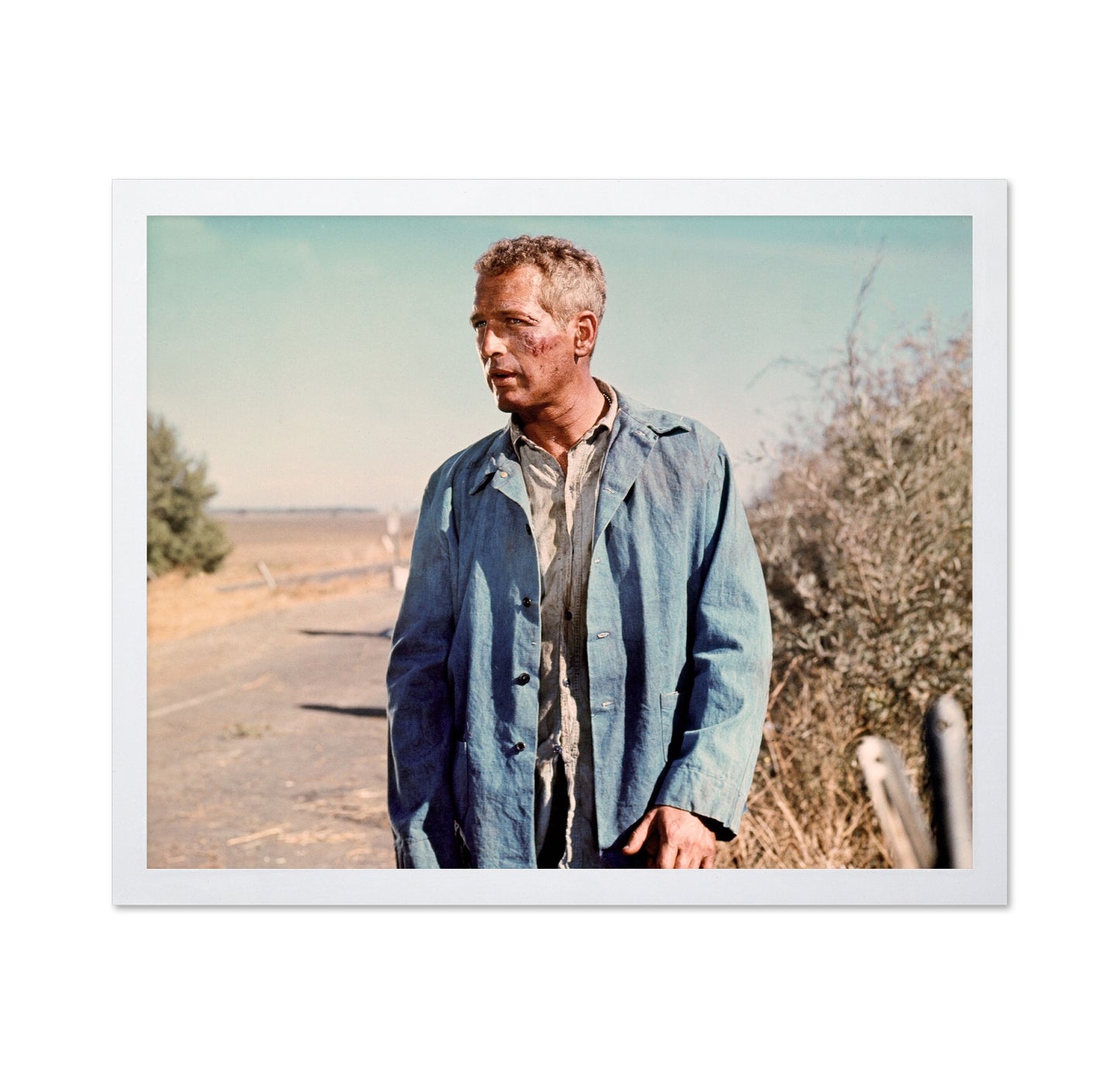 Cool Hand Luke 1967 Paul Newman No5