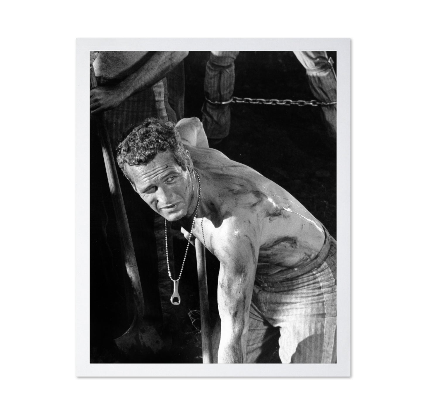 Cool Hand Luke 1967 Paul Newman No4