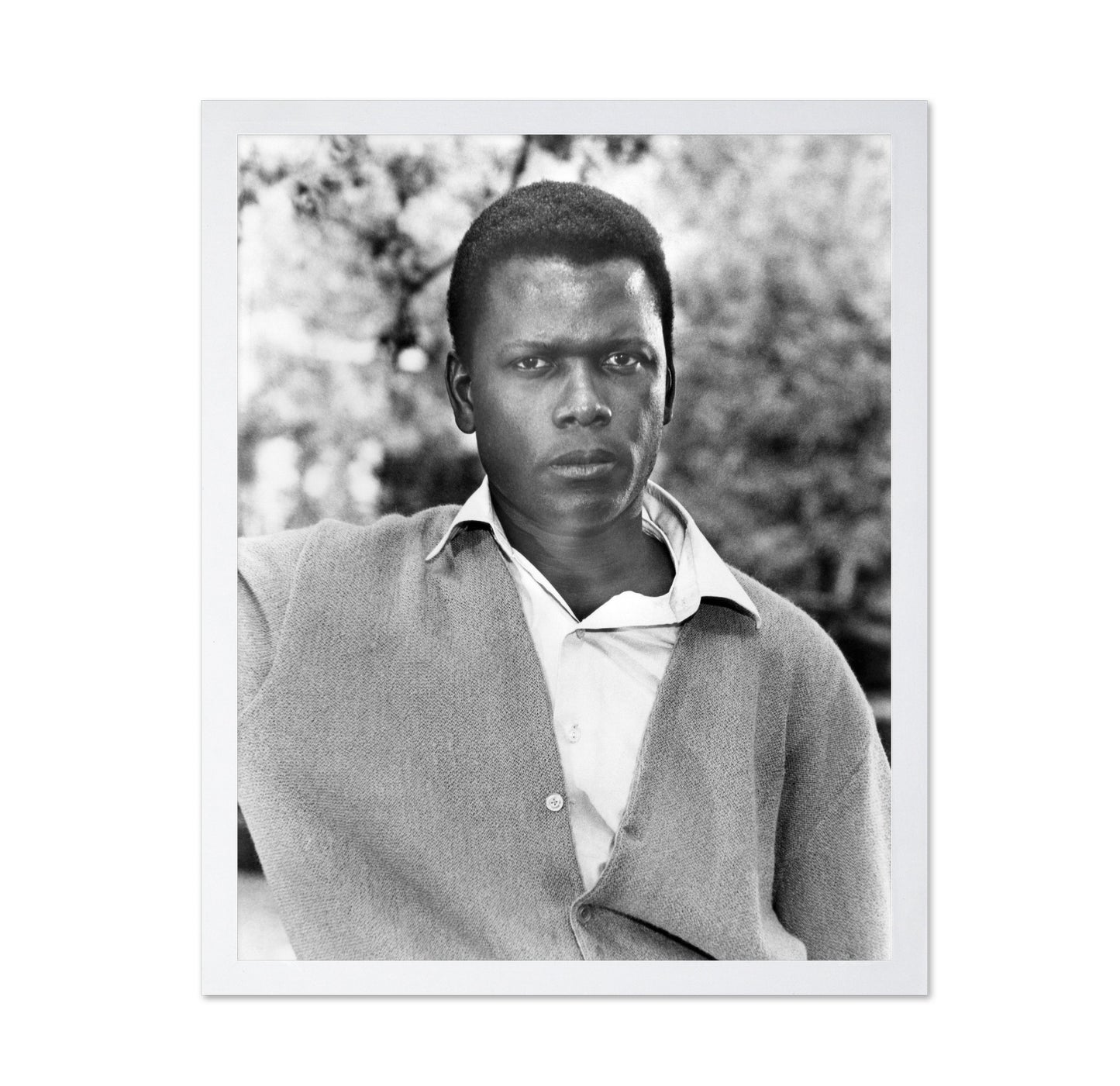 A Patch of Blue 1965 Sidney Poitier No3