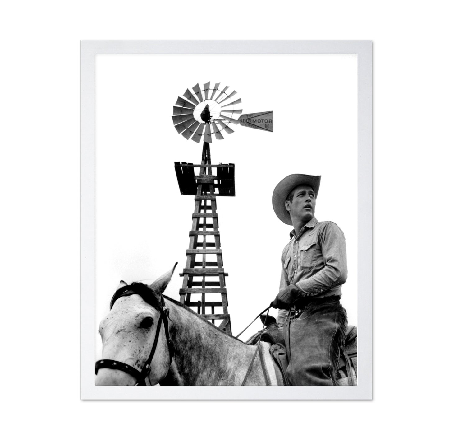 Hud 1963 Paul Newman No3