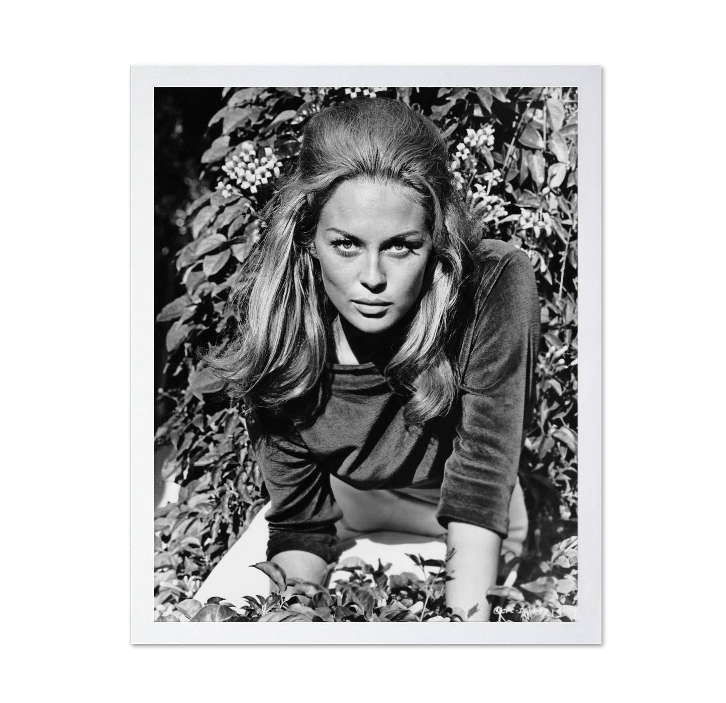 The Happening 1967 Faye Dunaway No1