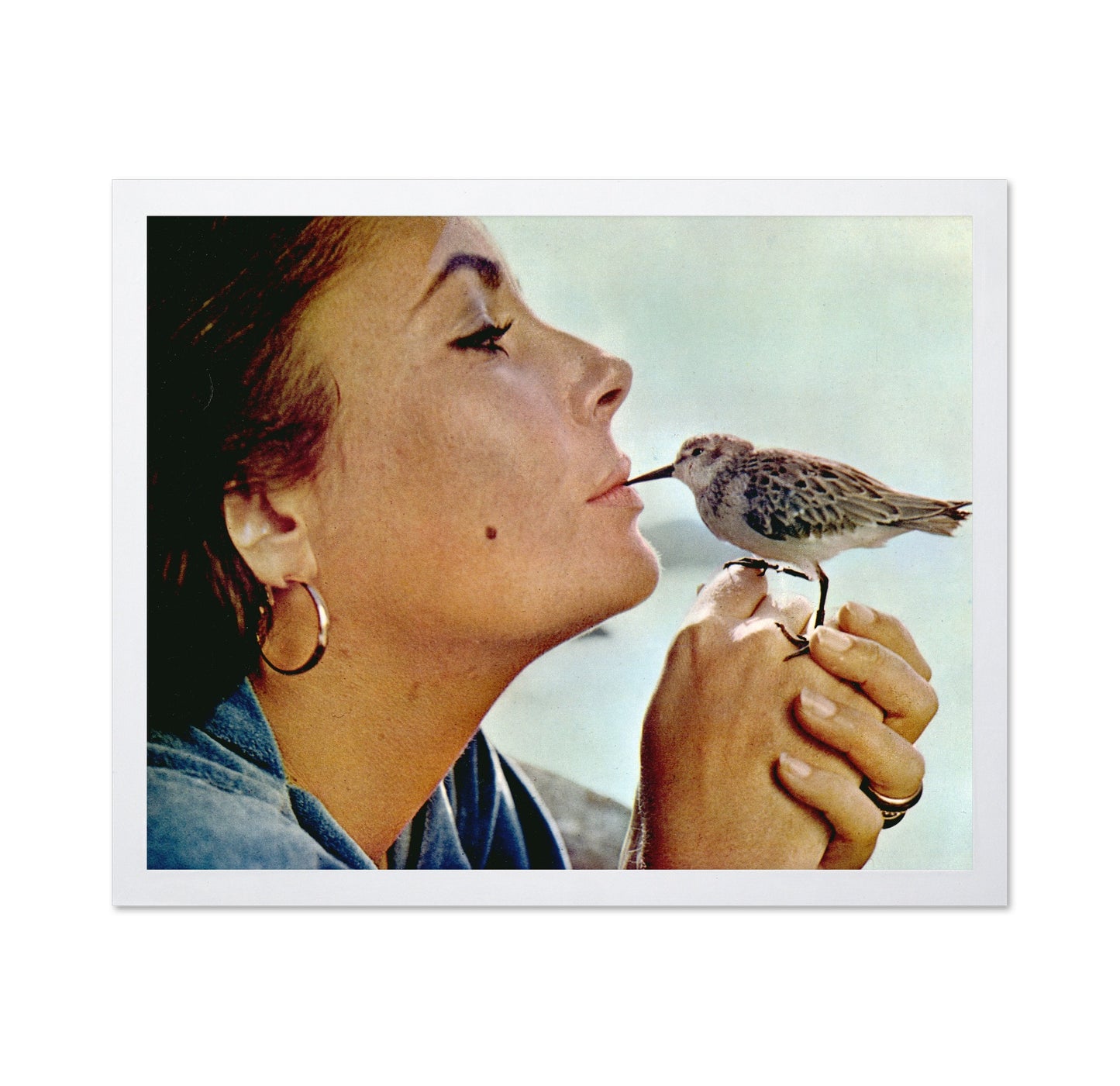 The Sandpiper 1965 Elizabeth Taylor No2