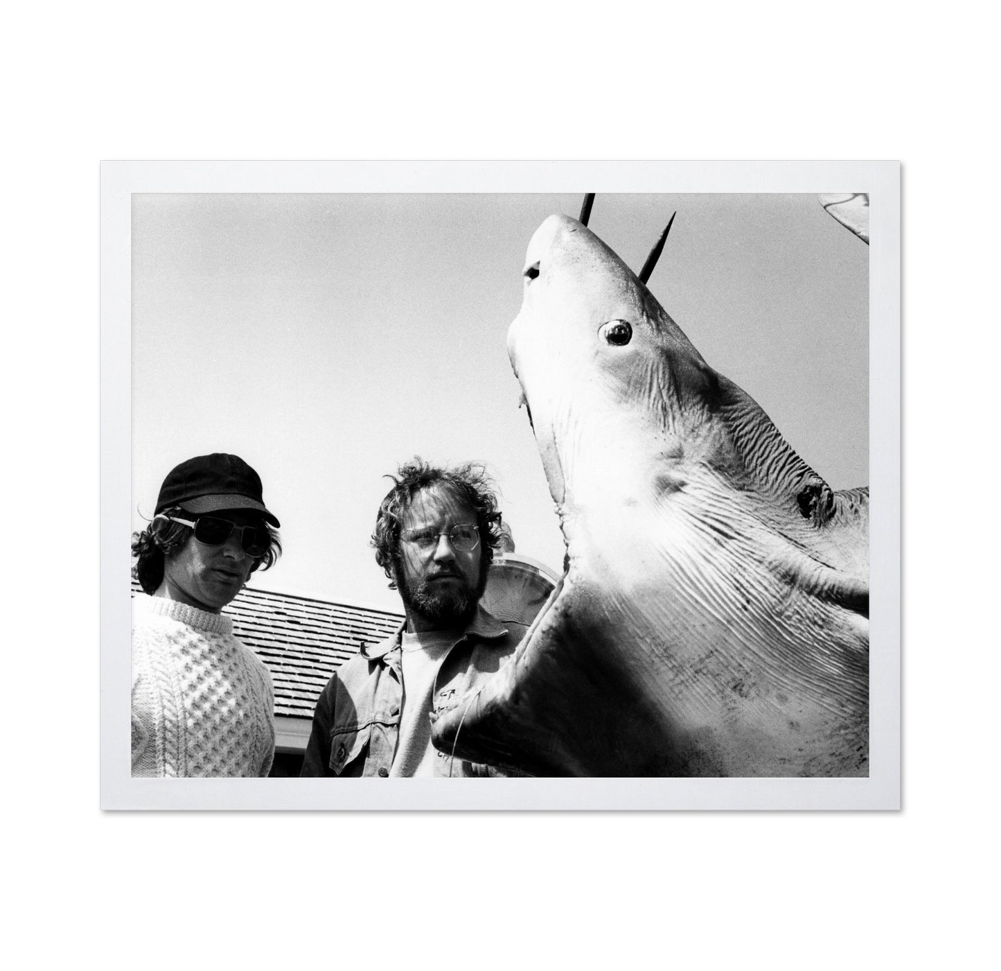 Jaws 1975 Steven Spielberg No3