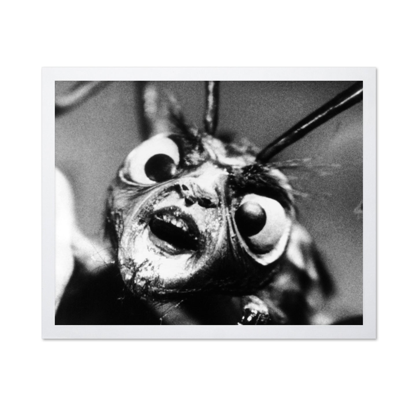 The Outer Limits 1963 No1