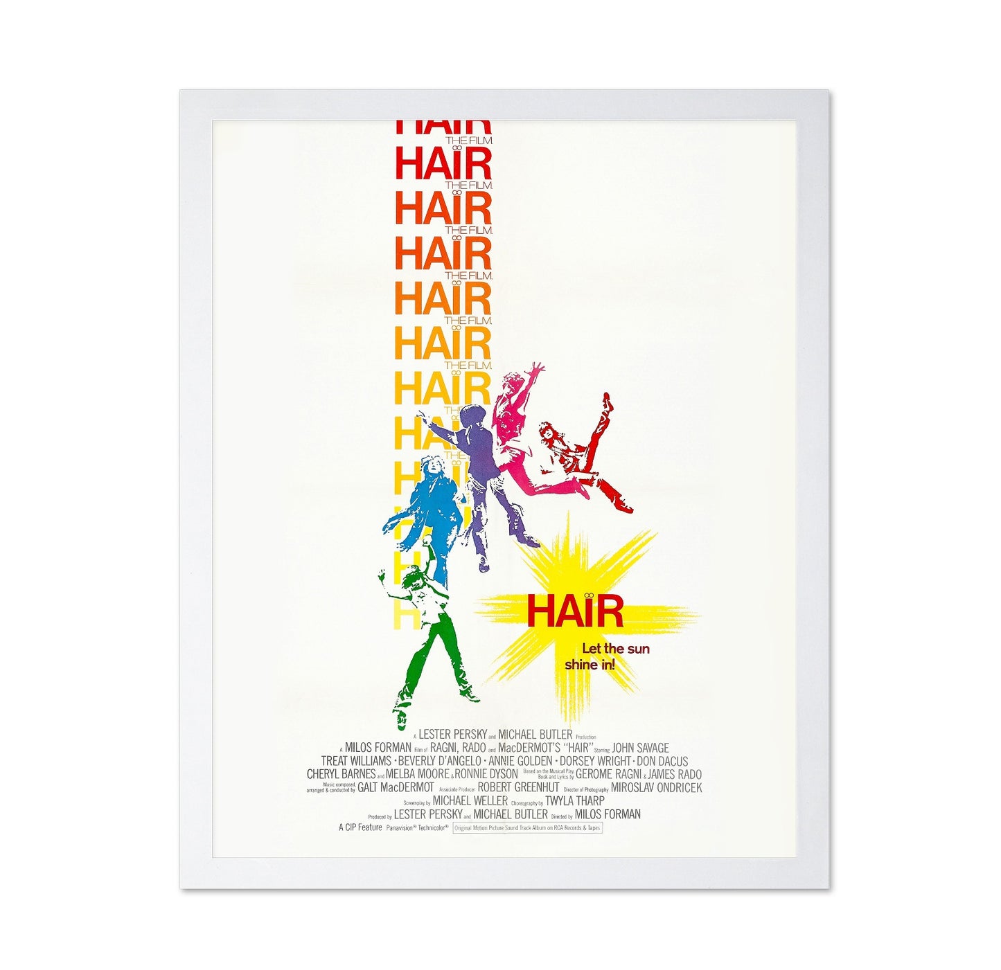Hair 1979