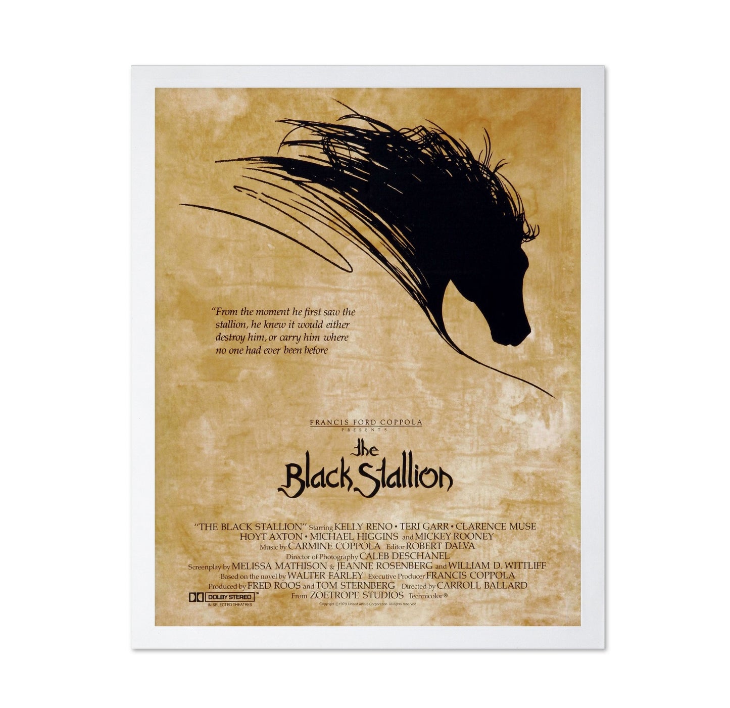 The Black Stallion 1979