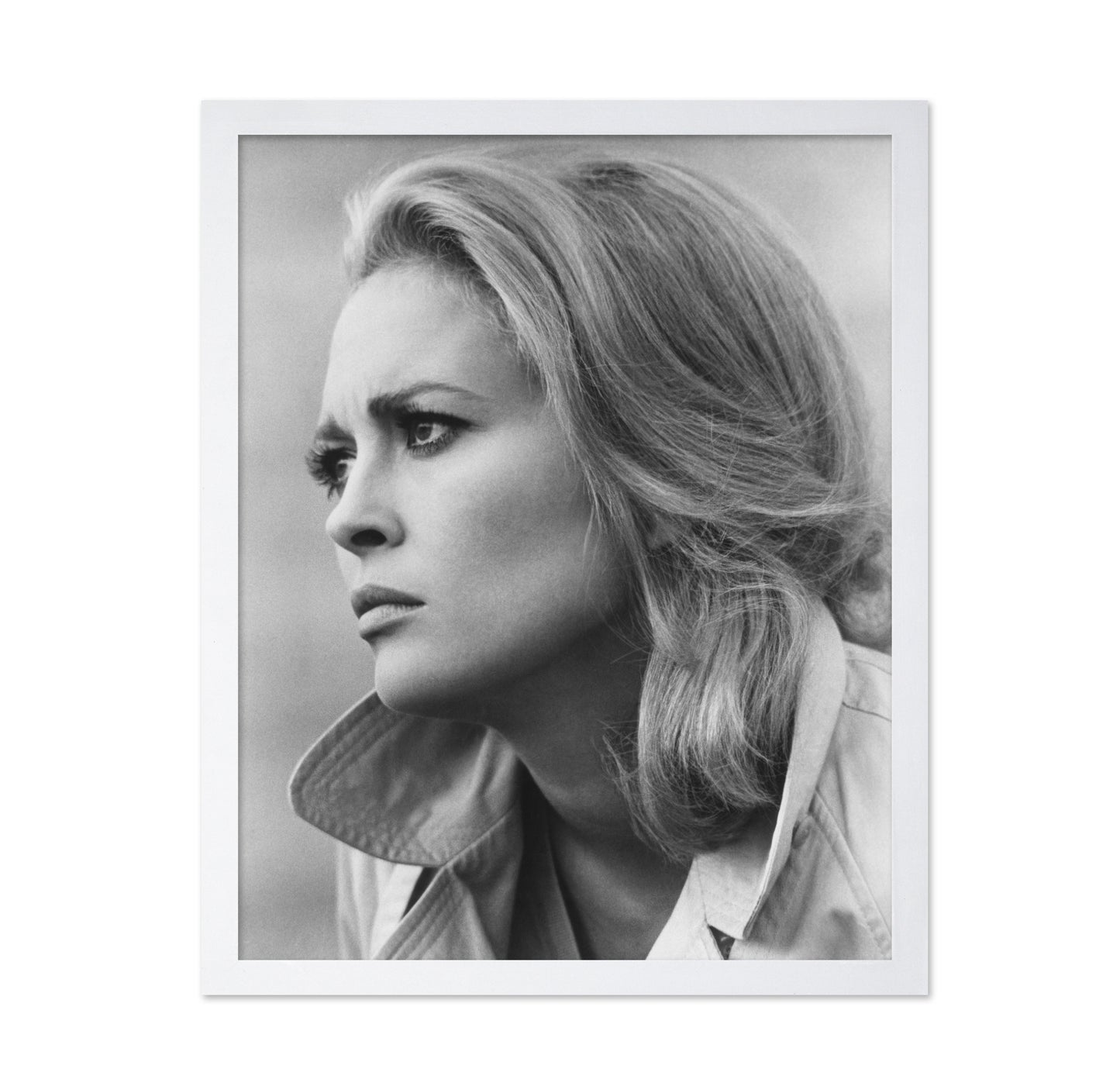 The Arrangement 1969 Faye Dunaway No2
