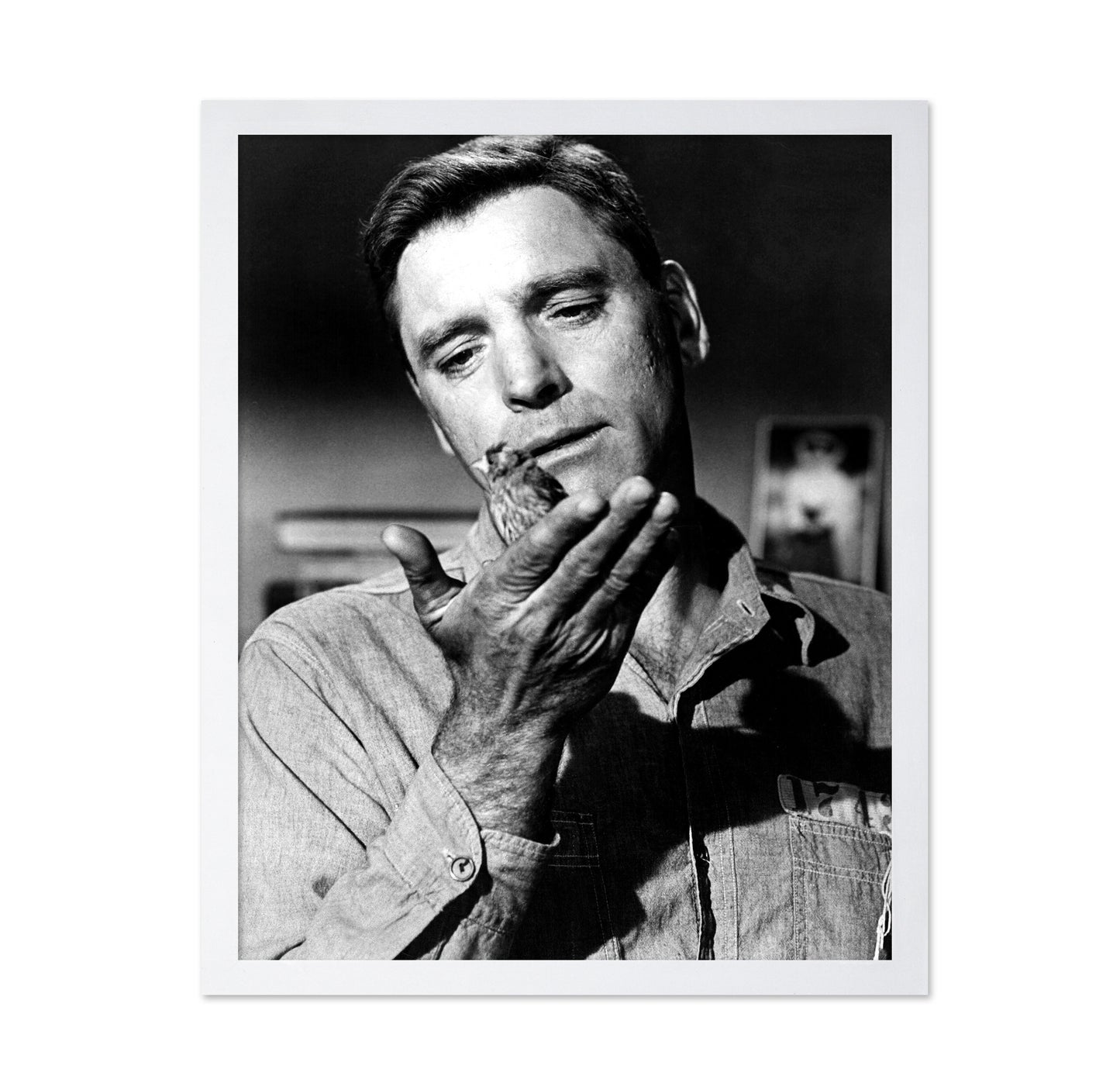 Birdman of Alcatraz 1962 Burt Lancaster No2