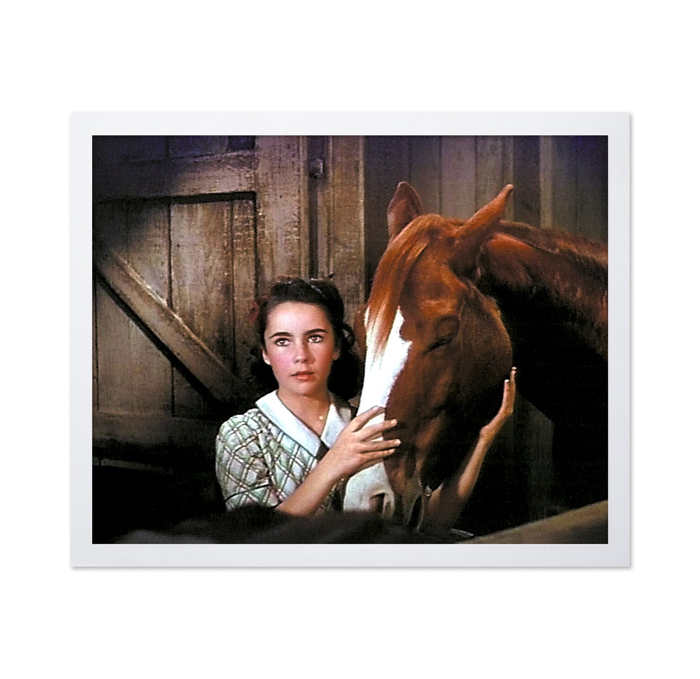 National Velvet 1944 Elizabeth Taylor