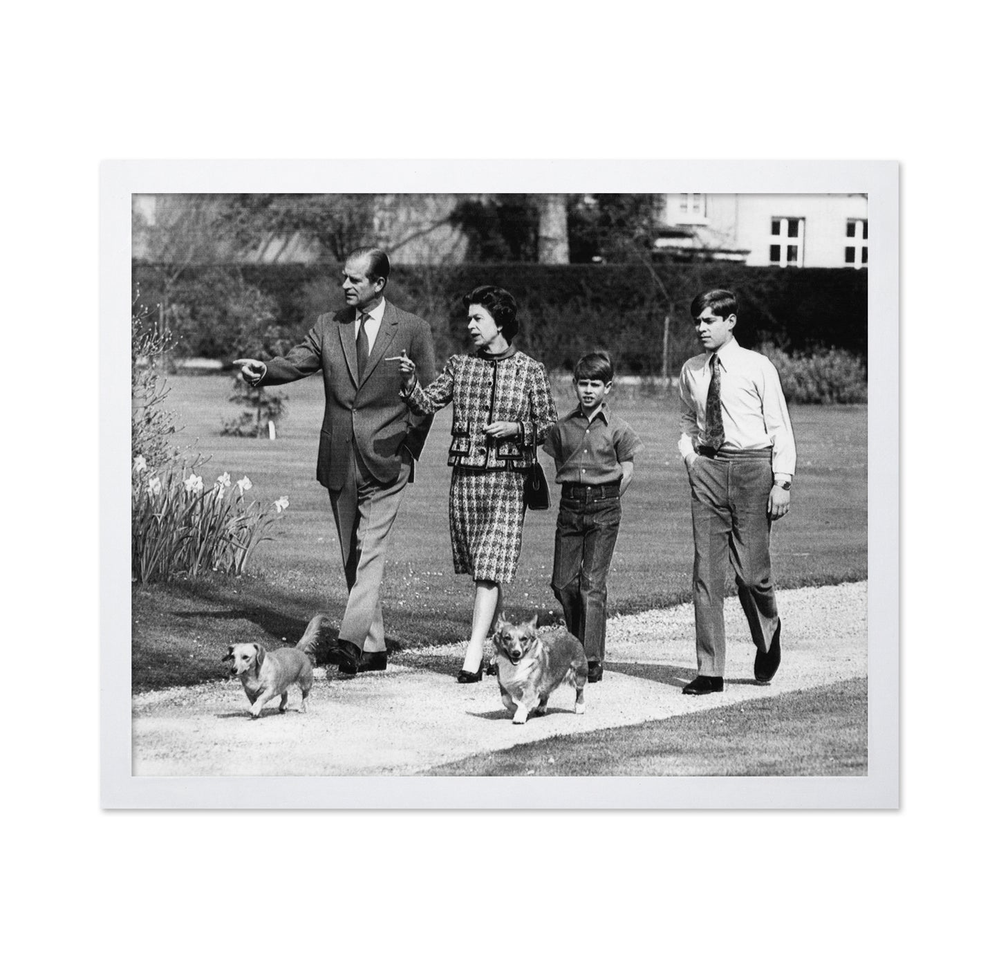 Royal Family Walking With Dogs 1973 Queen Elizabeth