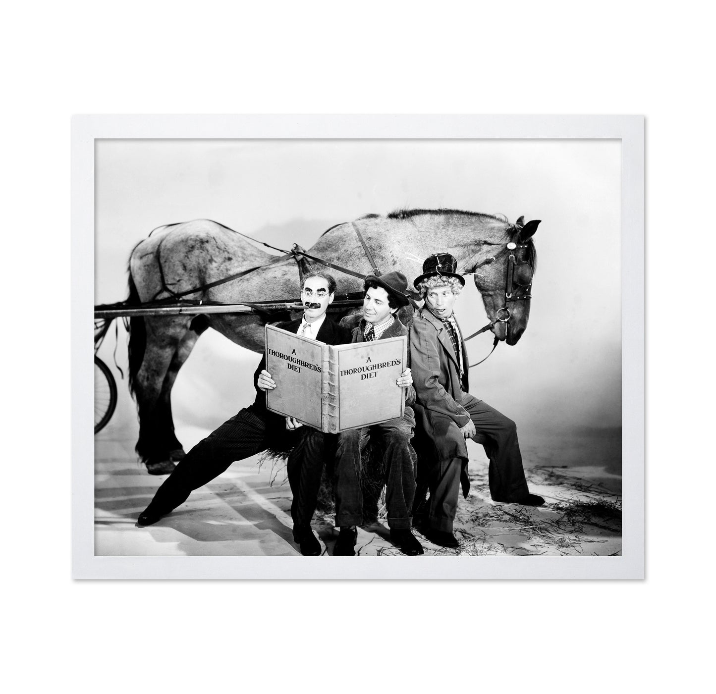 A Day At The Races 1937 Groucho Marx No1