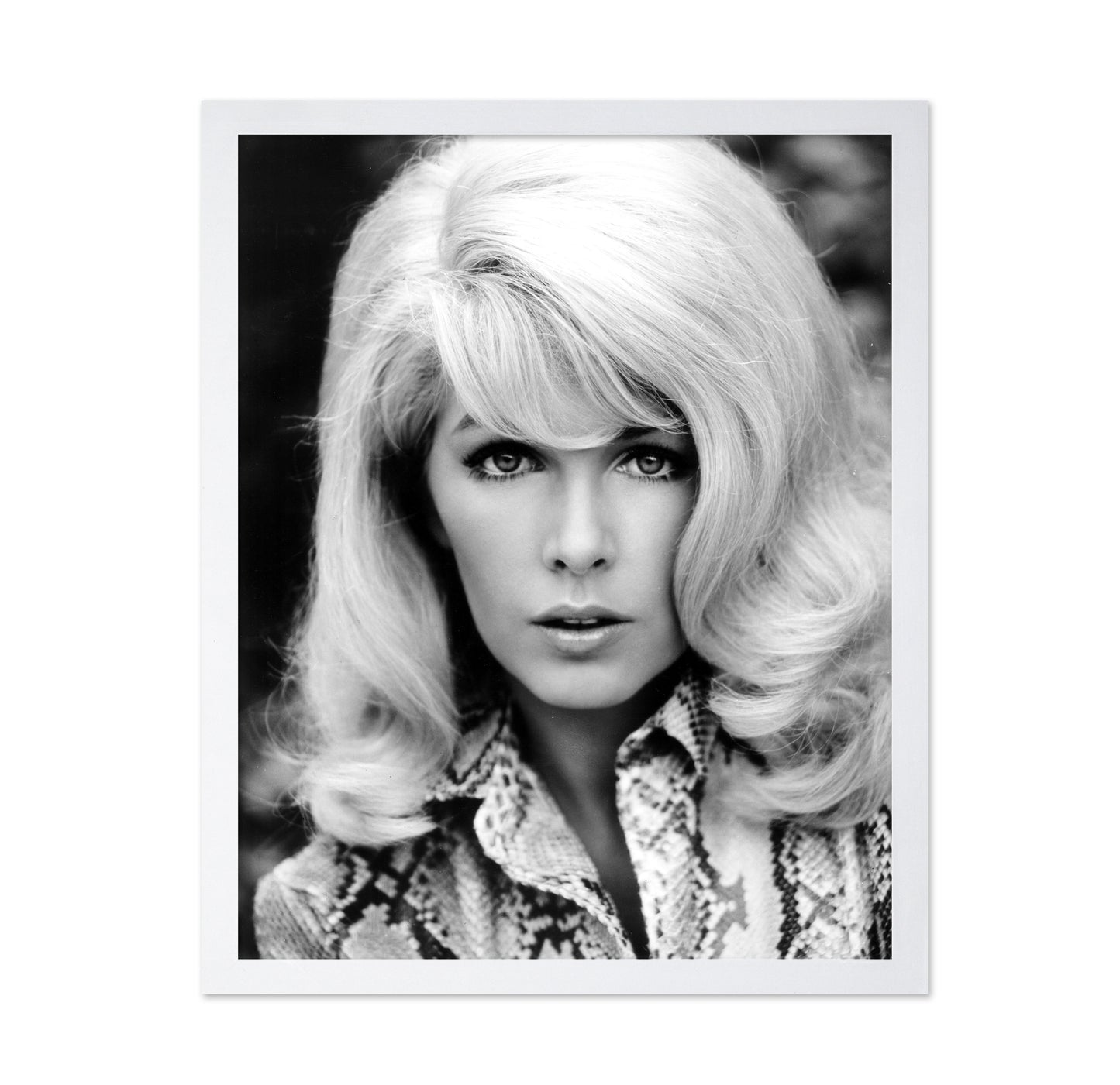 Rage 1966 Stella Stevens
