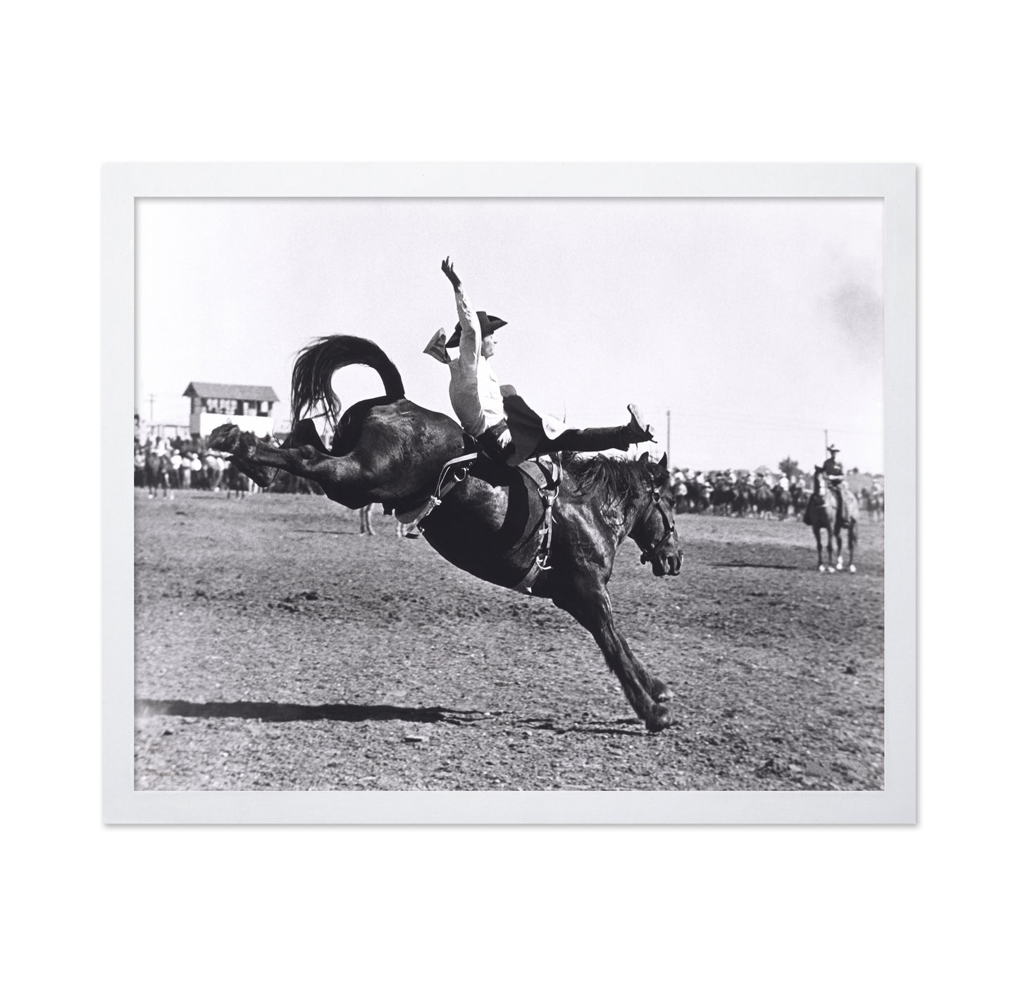 Rodeo Bucking Horse