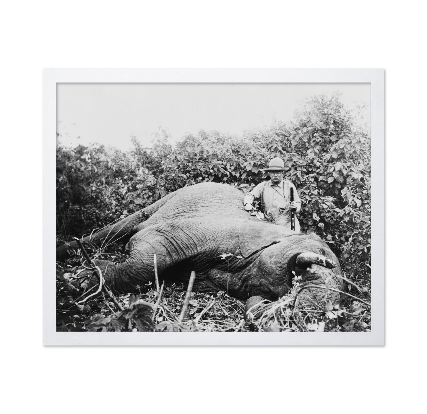 Roosevelt Africa 1910