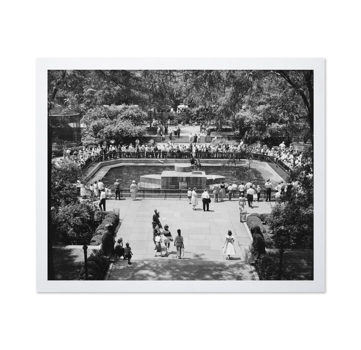 Central Park Zoo Vintage