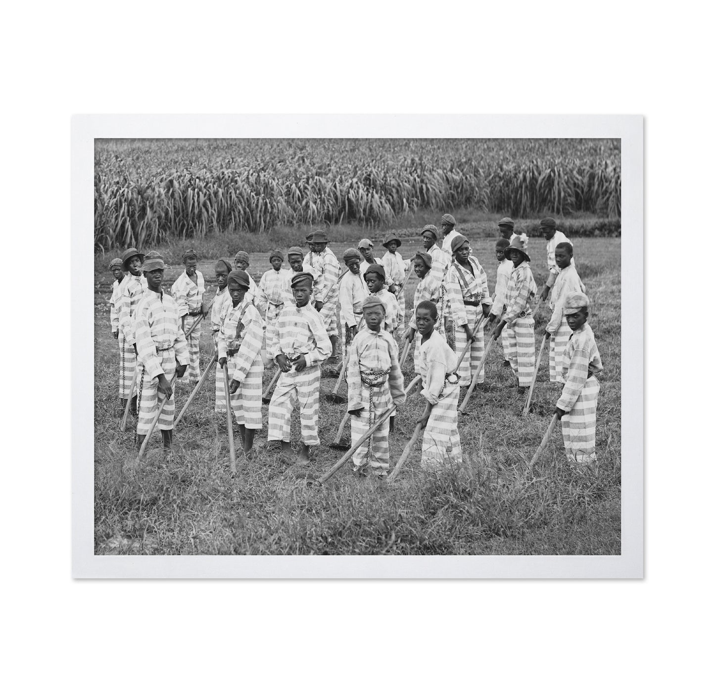 Juvenile Convict Labor 1903