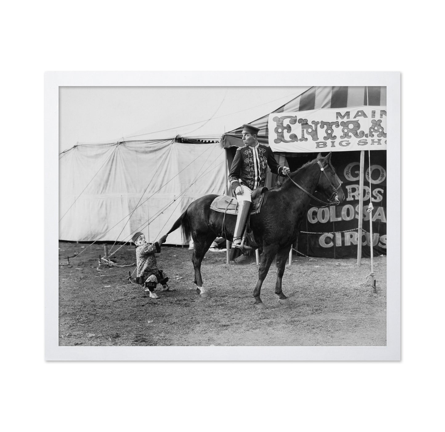 Circus Horse Performer