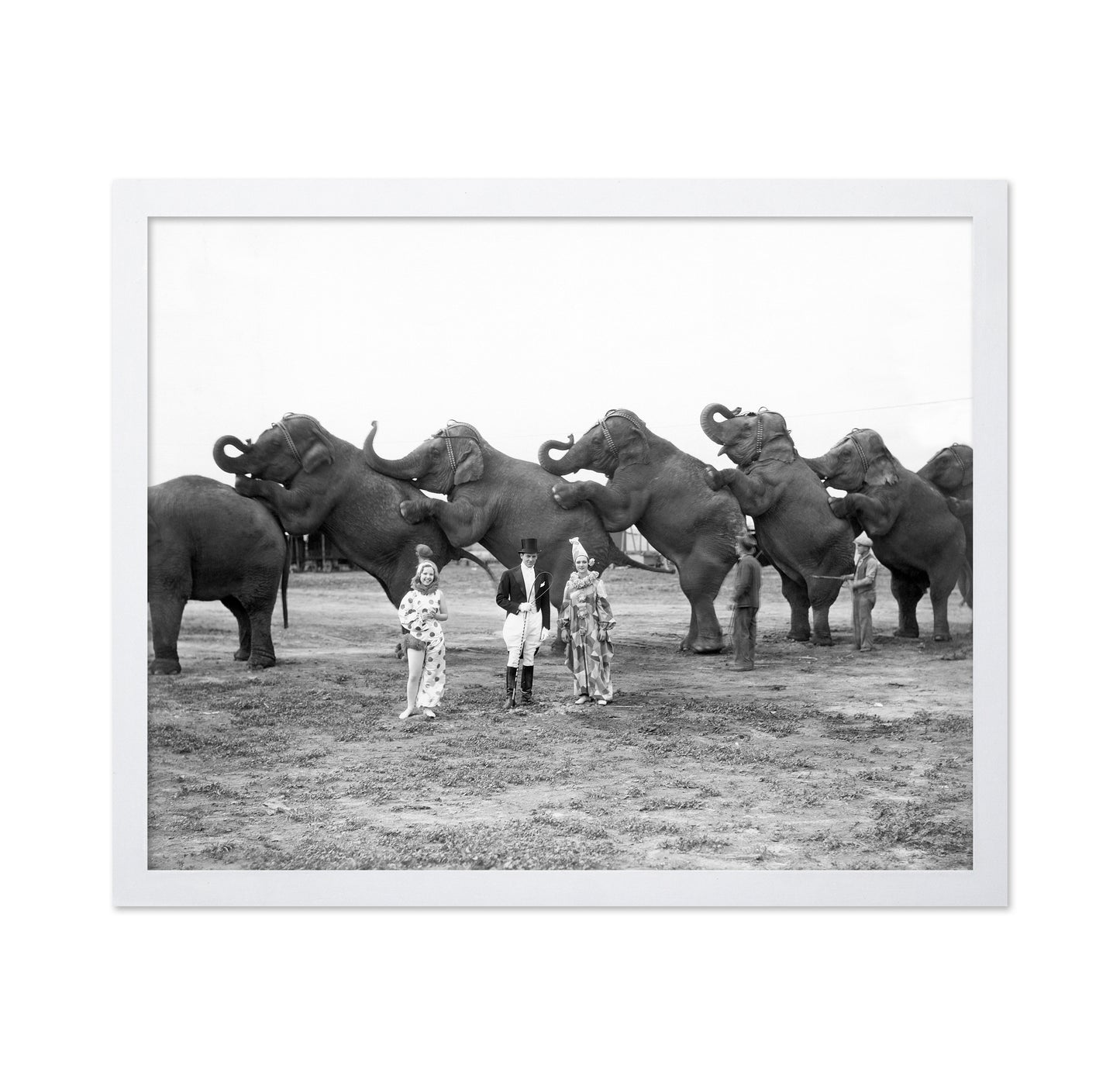 Circus Elephants 1930s